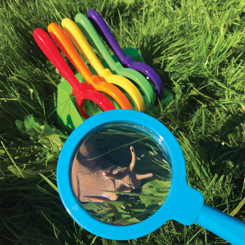 Set of six brightly colored, extra-large hand-held magnifying glasses with 3x magnification. Includes a convenient stand for safe storage when not in use. Perfectly sized for small hands, ideal for exploring plants, animals, and insects in life science le