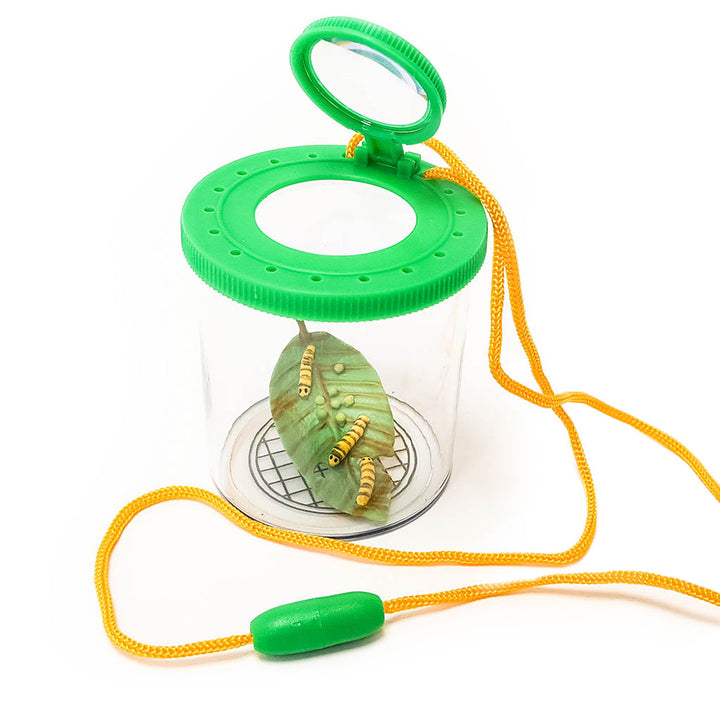 Mini Beast Viewer with 2 built-in magnifiers and breakaway safety neck strap. Catch, carry, and view bugs at 2x magnification, with a second lens for 4x magnification. Enhance your child's outdoor experience with this educational tool in blue and green.