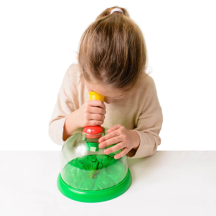 multicoloured dome, colourful, multicoloured, observe, see, view, educational products, educational resources, educational supplies, primary school, teaching resources, teaching supplies, science, starter, beginner, outdoor exploration, observe, observati