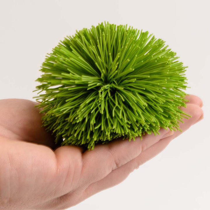 fuzzy, soft, koosh, sports ball, sport, indoor outdoor play, sensory play. sensorial, special needs, sen, special education, special educational needs, multicoloured ball, colourful, coloured ball, throw, catch, coordination, physical development, childre