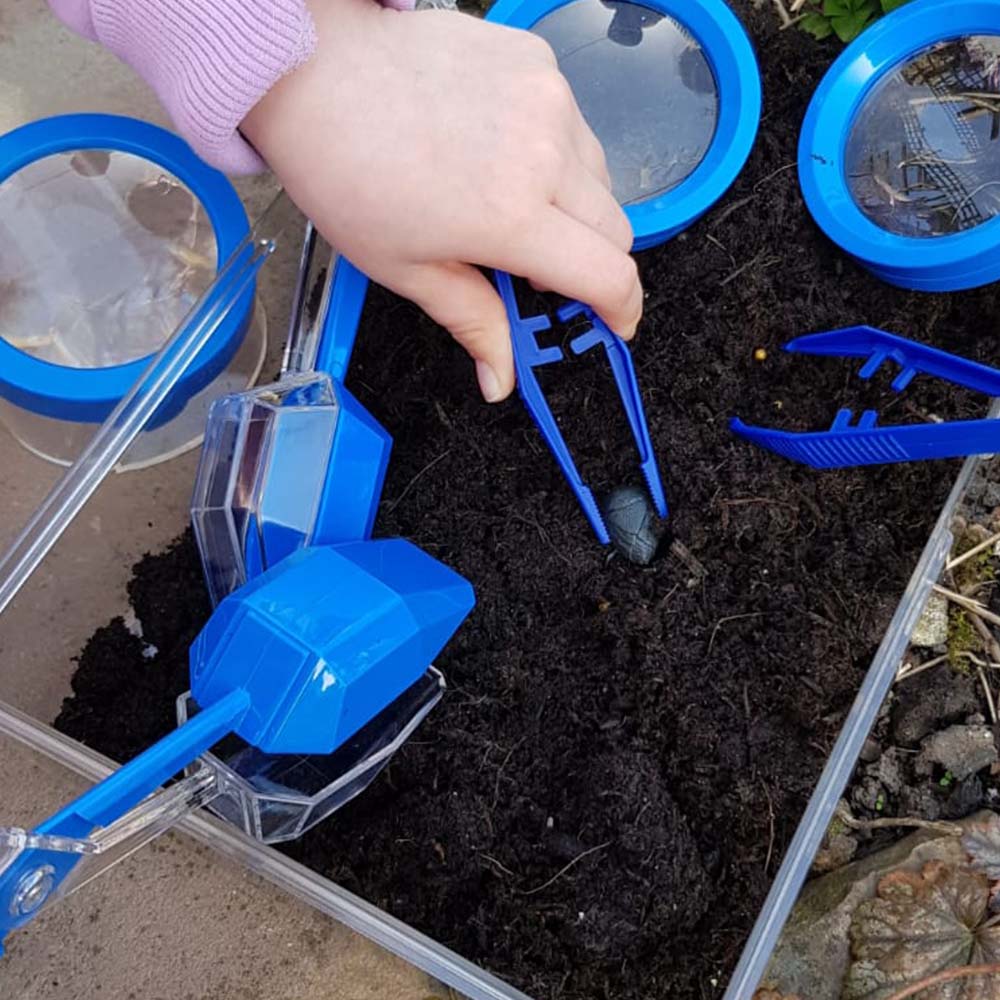 Large Bug/Aquatic Tank Kit for observing and studying aquatic life, plants, and bugs. The transparent container features a ventilated lid, allowing for versatile use: fill with water for aquatic observations or with soil for bug and plant studies. Sturdy 