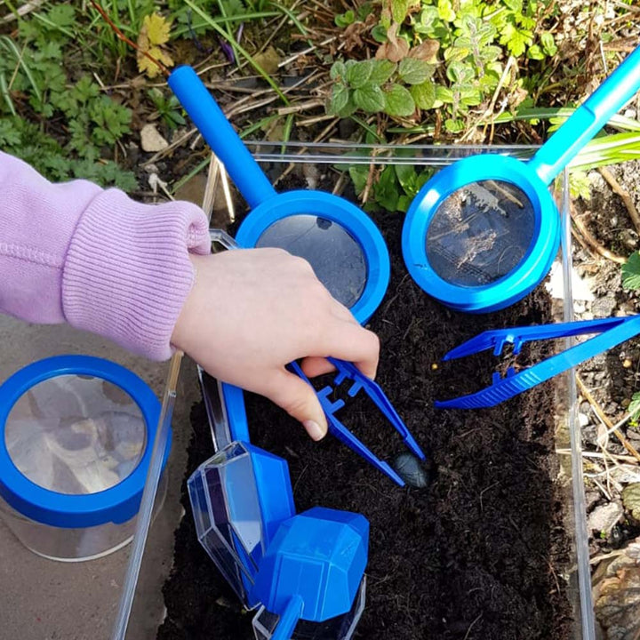 Large Bug/Aquatic Tank Kit for observing and studying aquatic life, plants, and bugs. The transparent container features a ventilated lid, allowing for versatile use: fill with water for aquatic observations or with soil for bug and plant studies. Sturdy 