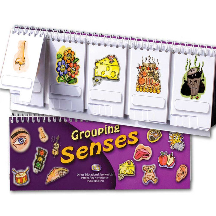 Grouping Senses Flip Book